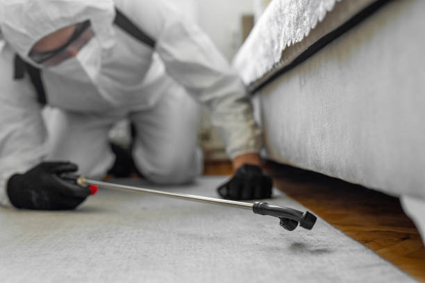 Professional Termite Control technician working in Parkston, SD