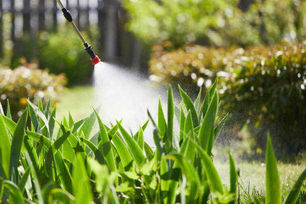 24/7 Emergency Termite Control experts in Parkston, SD
